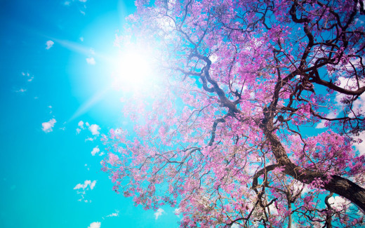 506428 (a): :2560x1600